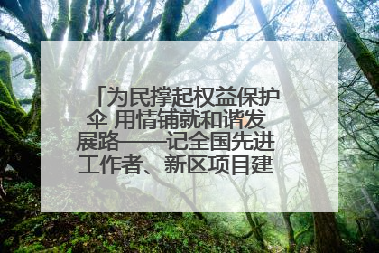 为民撑起权益保护伞 用情铺就和谐发展路——记全国先进工作者、新区项目建设中心干部卢小勇