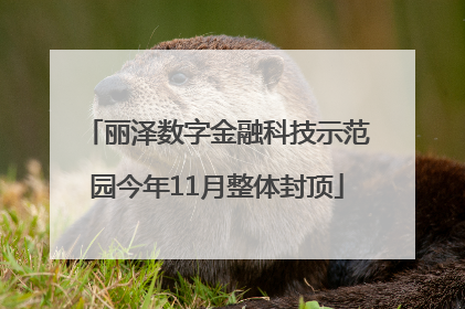 丽泽数字金融科技示范园今年11月整体封顶