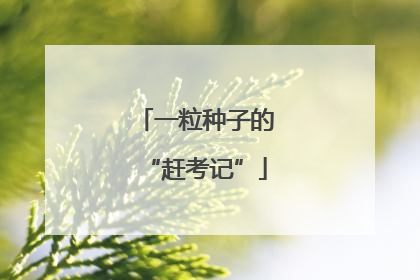 一粒种子的“赶考记”