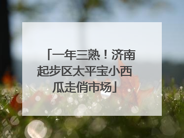 一年三熟！济南起步区太平宝小西瓜走俏市场