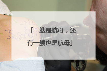 一艘是航母，还有一艘也是航母