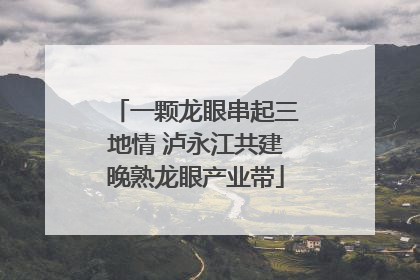一颗龙眼串起三地情 泸永江共建晚熟龙眼产业带