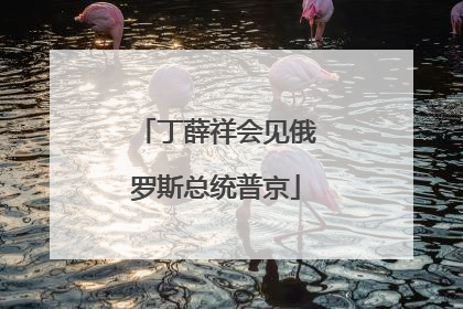 丁薛祥会见俄罗斯总统普京