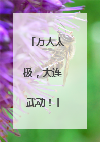 万人太极，大连武动！