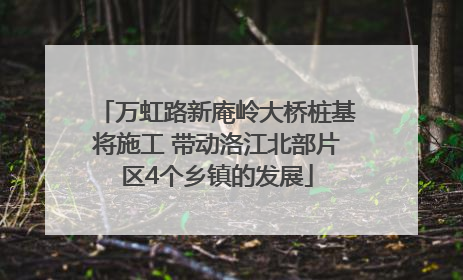 万虹路新庵岭大桥桩基将施工 带动洛江北部片区4个乡镇的发展