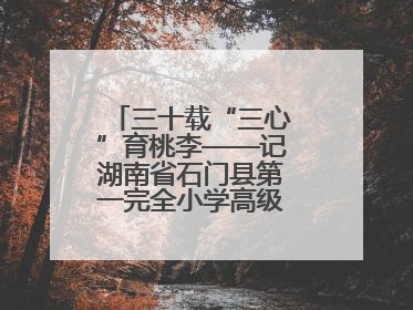 三十载“三心”育桃李——记湖南省石门县第一完全小学高级教师覃玲君