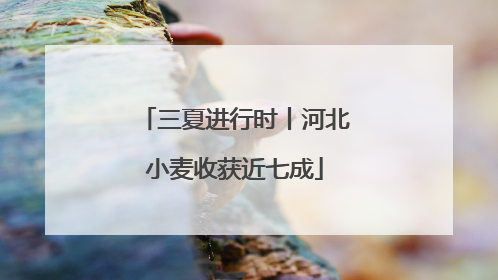 三夏进行时丨河北小麦收获近七成