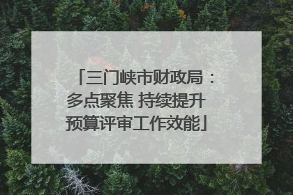 三门峡市财政局：多点聚焦 持续提升预算评审工作效能
