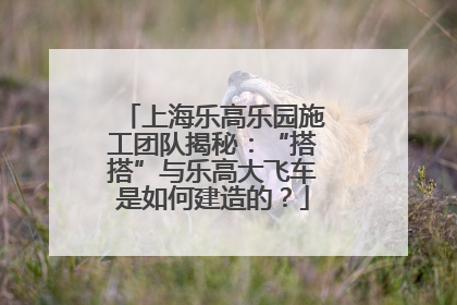 上海乐高乐园施工团队揭秘：“搭搭”与乐高大飞车是如何建造的？