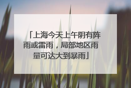 上海今天上午阴有阵雨或雷雨，局部地区雨量可达大到暴雨