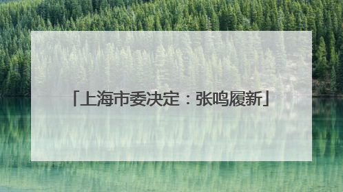 上海市委决定：张鸣履新