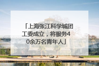 上海张江科学城团工委成立，将服务40余万名青年人