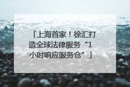 上海首家！徐汇打造全球法律服务“1小时响应服务仓”