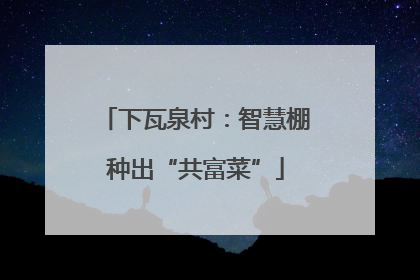 下瓦泉村：智慧棚种出“共富菜”