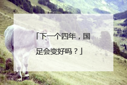 下一个四年，国足会变好吗？