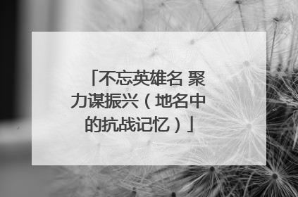 不忘英雄名 聚力谋振兴（地名中的抗战记忆）
