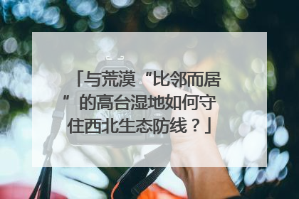 与荒漠“比邻而居”的高台湿地如何守住西北生态防线？