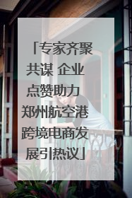 专家齐聚共谋 企业点赞助力 郑州航空港跨境电商发展引热议