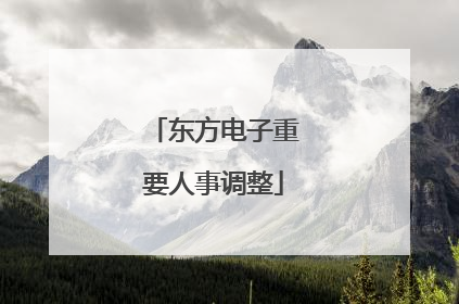 东方电子重要人事调整