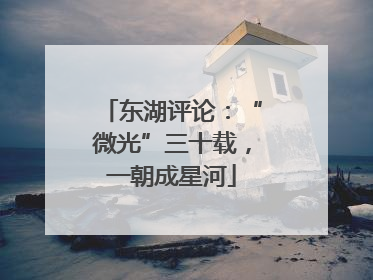 东湖评论：“微光”三十载，一朝成星河