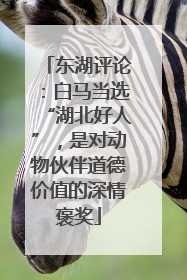 东湖评论：白马当选“湖北好人”，是对动物伙伴道德价值的深情褒奖