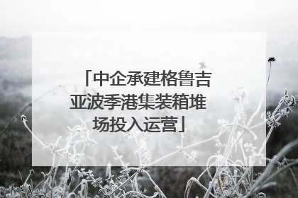 中企承建格鲁吉亚波季港集装箱堆场投入运营