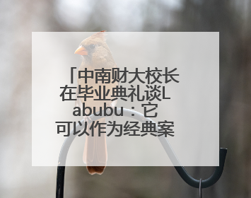 中南财大校长在毕业典礼谈Labubu：它可以作为经典案例来解析，AI难以给出答案