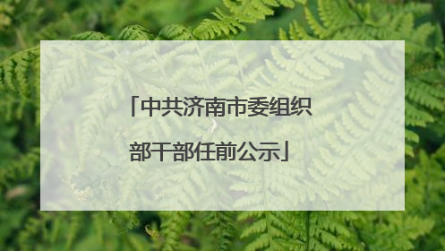 中共济南市委组织部干部任前公示