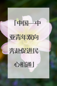 中国—中亚青年双向奔赴促进民心相通