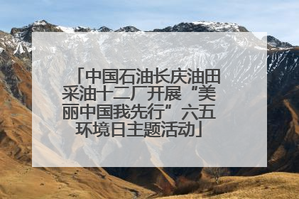 中国石油长庆油田采油十二厂开展“美丽中国我先行”六五环境日主题活动