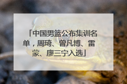 中国男篮公布集训名单，周琦、曾凡博、雷蒙、廖三宁入选