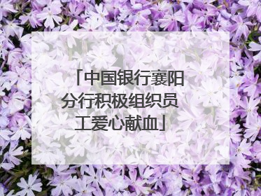 中国银行襄阳分行积极组织员工爱心献血