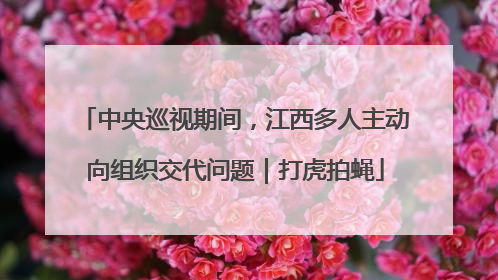 中央巡视期间，江西多人主动向组织交代问题｜打虎拍蝇