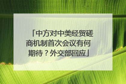 中方对中美经贸磋商机制首次会议有何期待？外交部回应