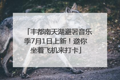 丰都南天湖避暑音乐季7月1日上新！邀你坐着飞机来打卡