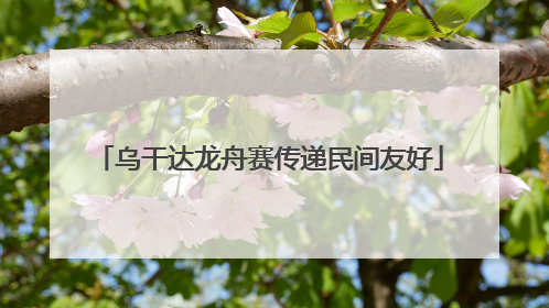 乌干达龙舟赛传递民间友好