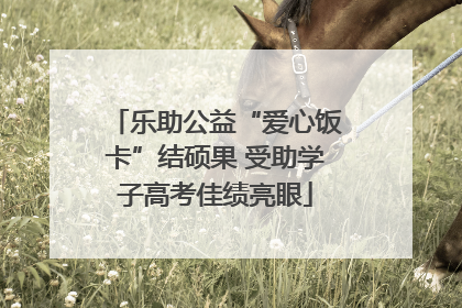 乐助公益“爱心饭卡”结硕果 受助学子高考佳绩亮眼