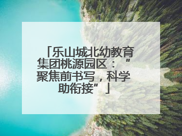 乐山城北幼教育集团桃源园区：“聚焦前书写，科学助衔接”
