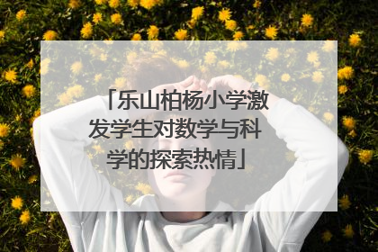 乐山柏杨小学激发学生对数学与科学的探索热情