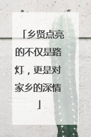 乡贤点亮的不仅是路灯，更是对家乡的深情