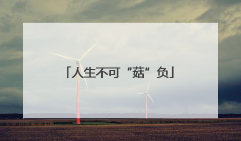 人生不可“菇”负