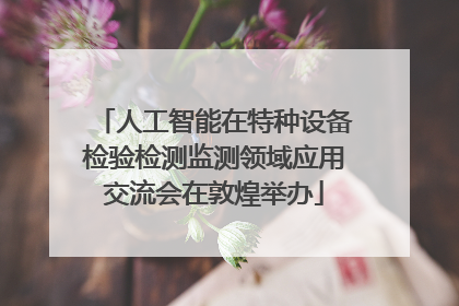 人工智能在特种设备检验检测监测领域应用交流会在敦煌举办