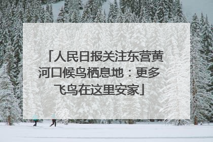 人民日报关注东营黄河口候鸟栖息地：更多飞鸟在这里安家