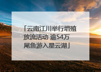 云南江川举行增殖放流活动 逾54万尾鱼游入星云湖