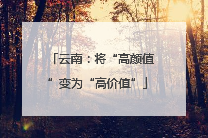 云南：将“高颜值”变为“高价值”