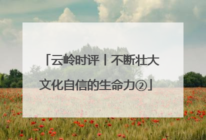 云岭时评丨不断壮大文化自信的生命力②