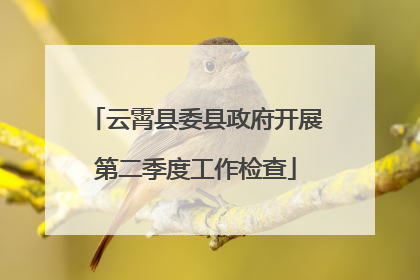 云霄县委县政府开展第二季度工作检查