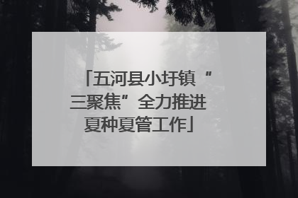 五河县小圩镇“三聚焦”全力推进夏种夏管工作