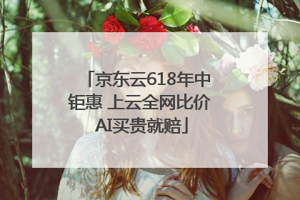 京东云618年中钜惠 上云全网比价 AI买贵就赔