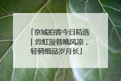 京城拍客今日精选｜霓虹漫巷晚风凉，轻骑细品岁月长